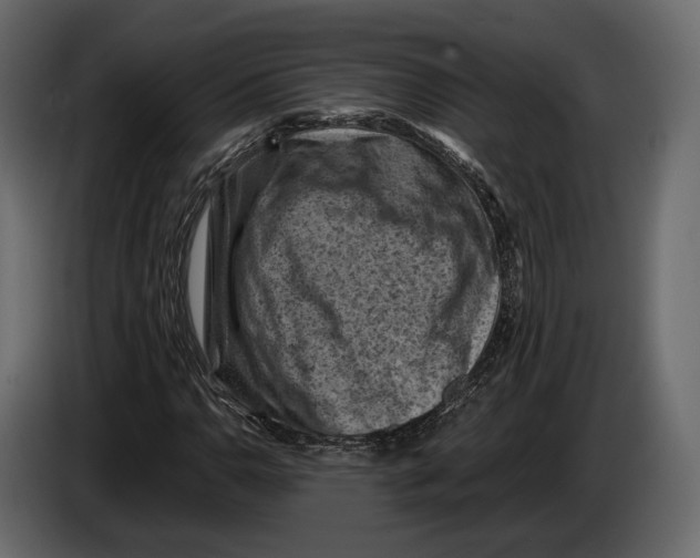 X0000082991110200703020839