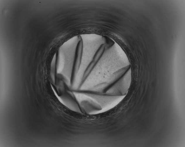 X0000082991111200703020839