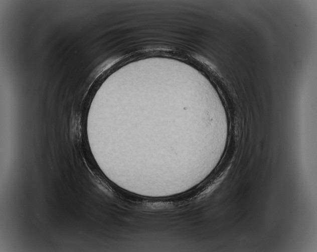 X0000082991113200703020839