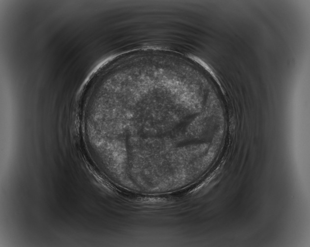 X0000082991115200703020839