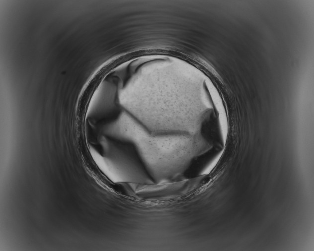 X0000082991116200703020839