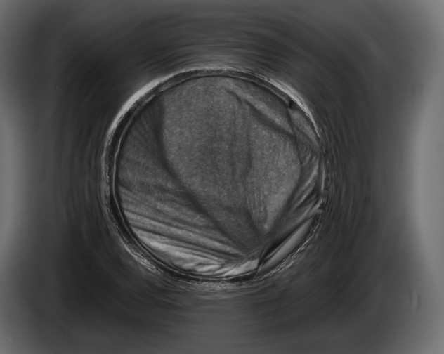 X0000082991120200703020839