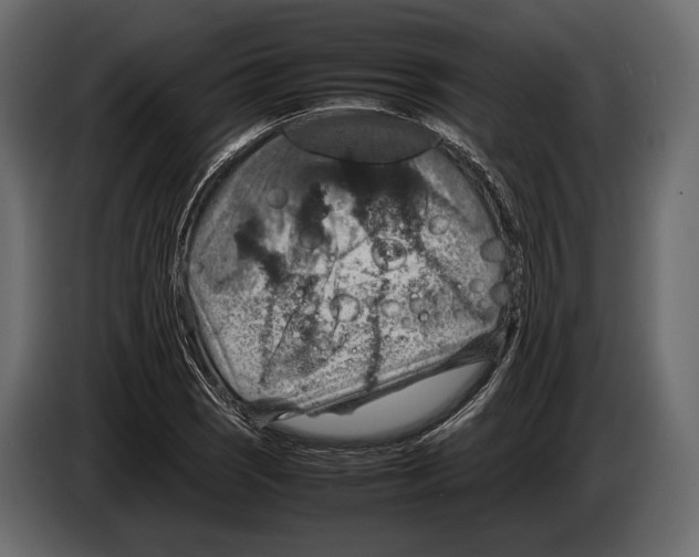 X0000082991121200703020839