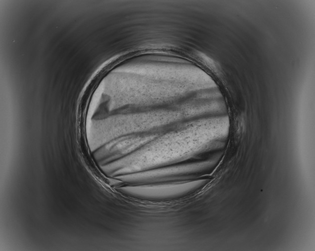 X0000082991124200703020839