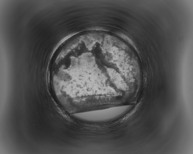 X0000082991125200703020839