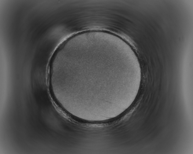 X0000082991126200703020839