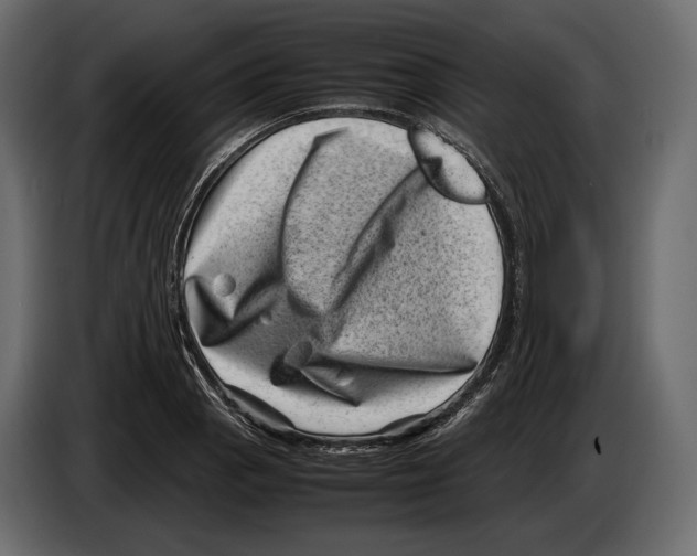 X0000082991129200703020839