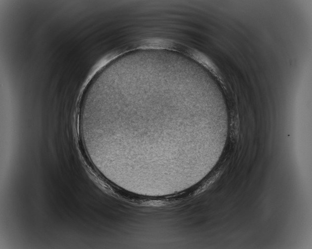 X0000082991130200703020839