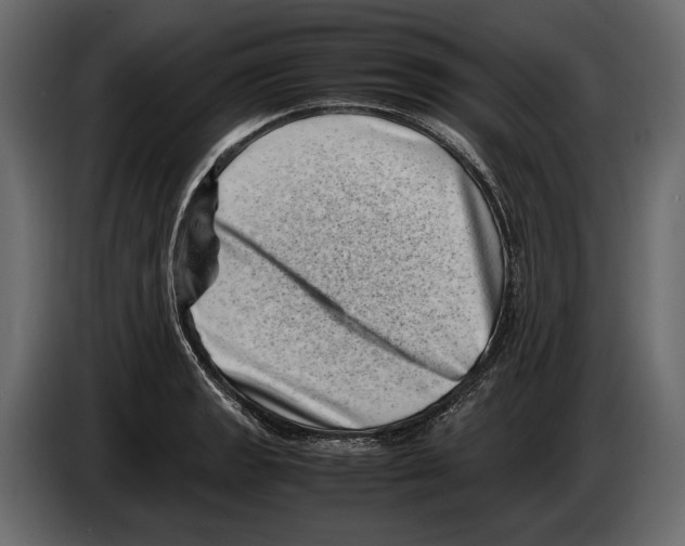 X0000082991133200703020839