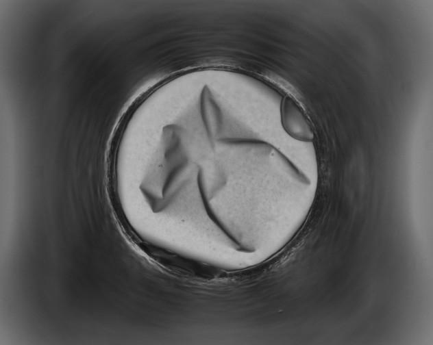 X0000082991135200703020839