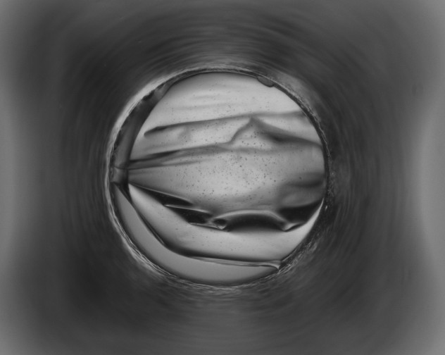 X0000082991136200703020839