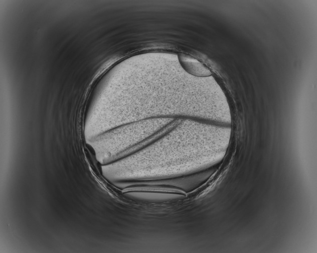 X0000082991137200703020839