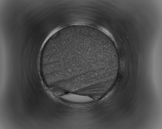 X0000082991138200703020839