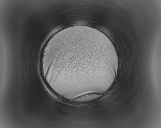 X0000082991139200703020839