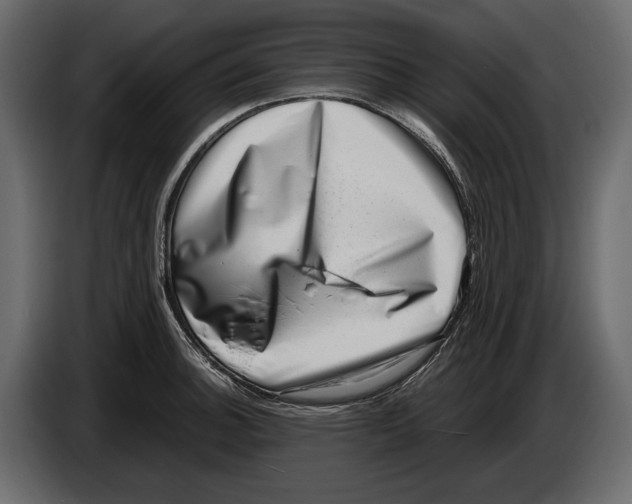 X0000082991140200703020839