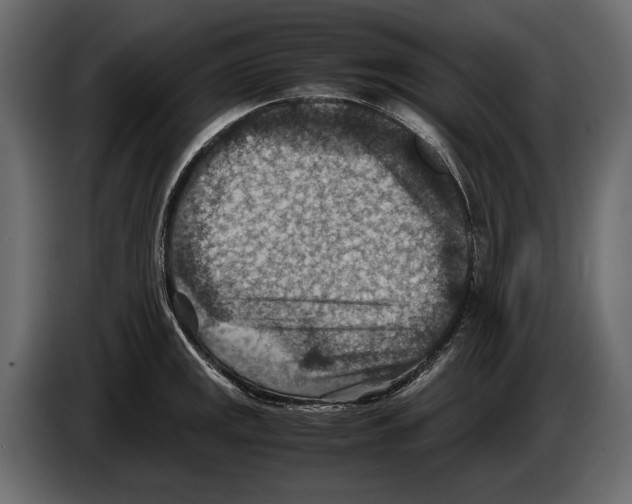 X0000082991141200703020839