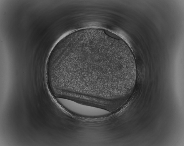 X0000082991142200703020839