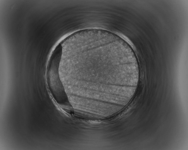 X0000082991144200703020839