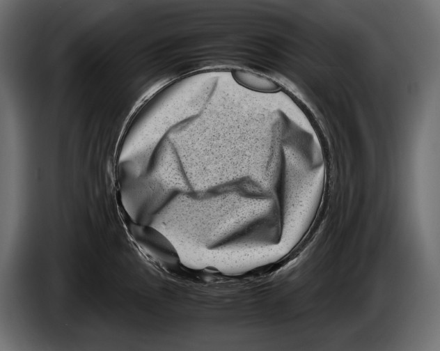 X0000082991145200703020839