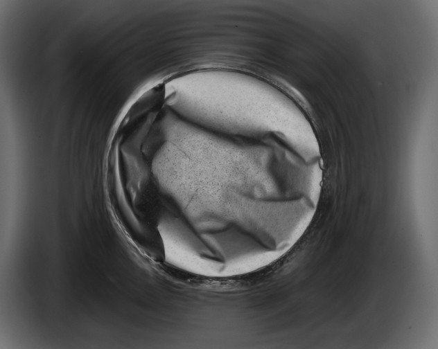 X0000082991146200703020839