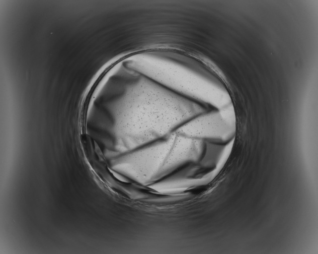 X0000082991148200703020839