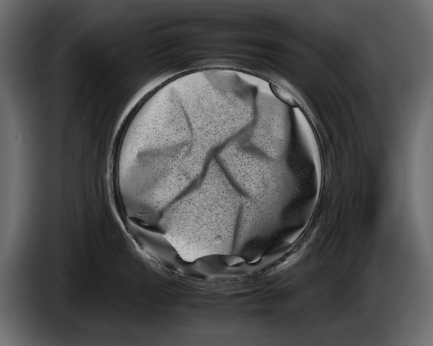 X0000082991149200703020839