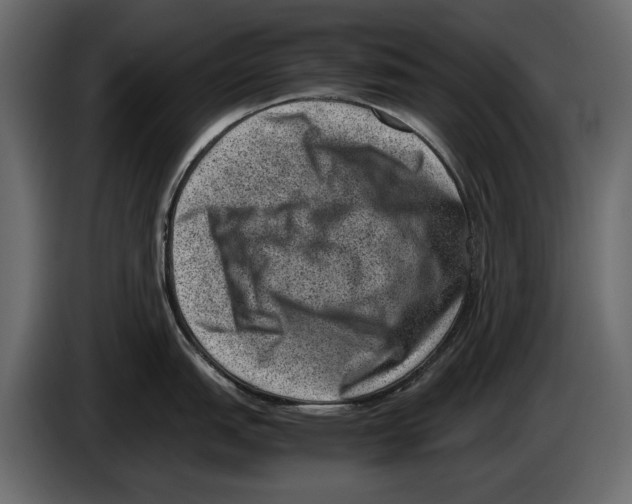 X0000082991151200703020839