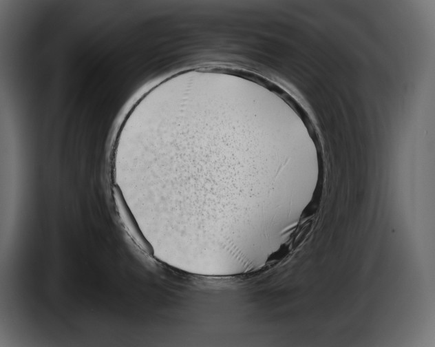 X0000082991152200703020839