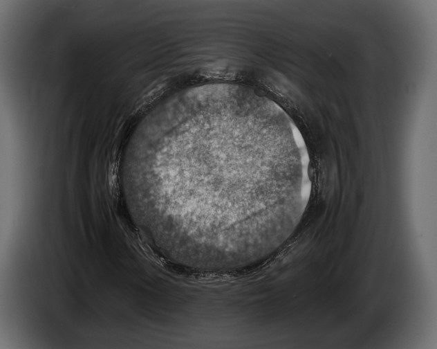 X0000082991154200703020839