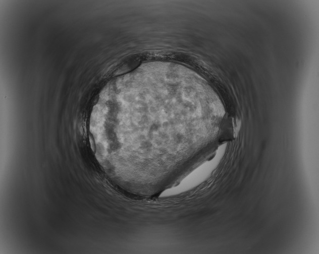 X0000082991155200703020839