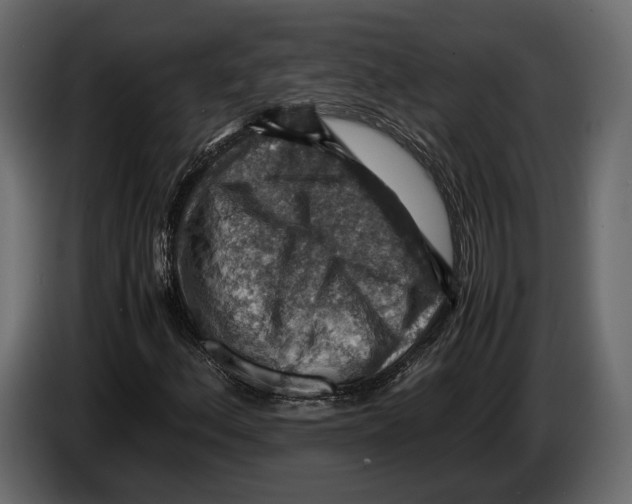 X0000082991156200703020839