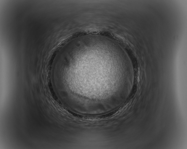 X0000082991157200703020838