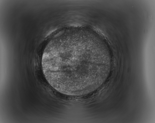 X0000082991158200703020838