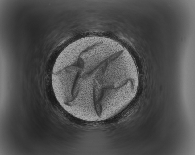 X0000082991159200703020838