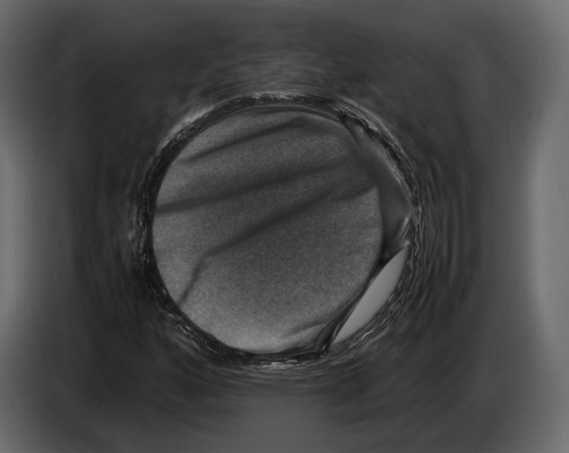 X0000082991160200703020838