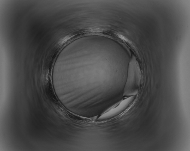 X0000082991161200703020838