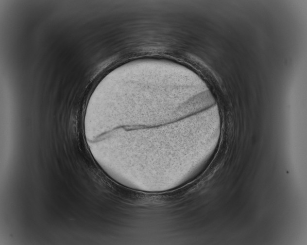 X0000082991162200703020838