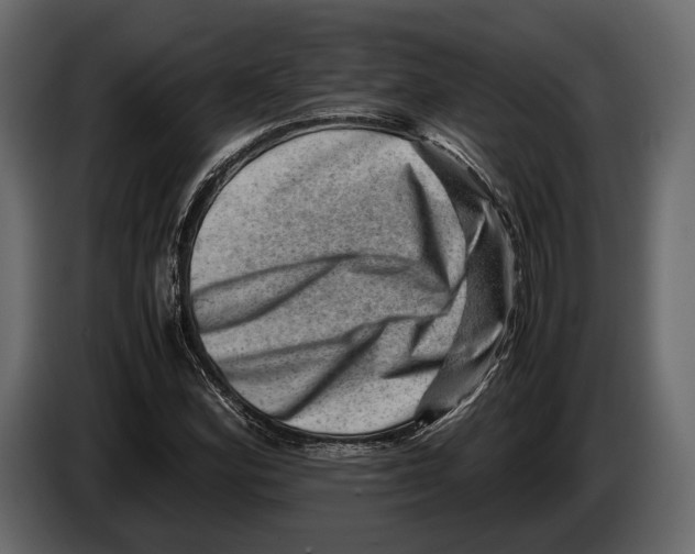 X0000082991164200703020838