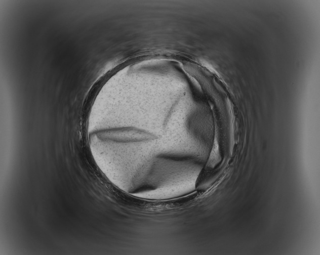 X0000082991165200703020838