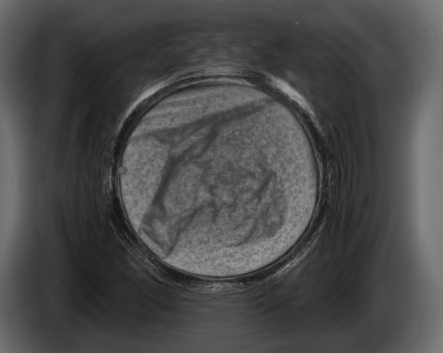 X0000082991166200703020838