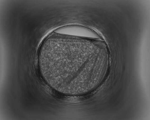 X0000082991167200703020838