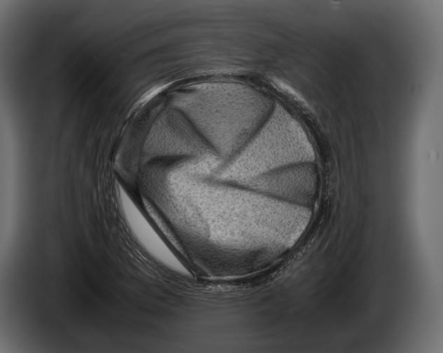 X0000082991169200703020838