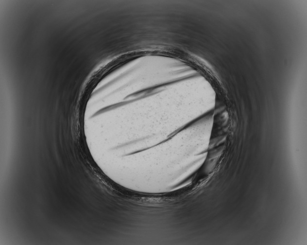 X0000082991172200703020838