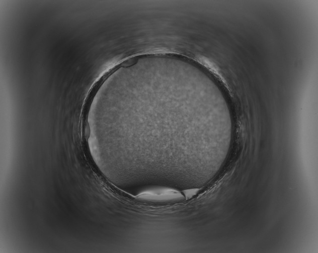 X0000082991173200703020838