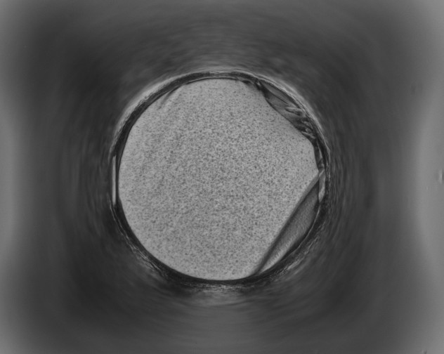 X0000082991175200703020838