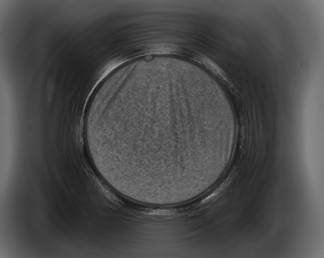 X0000082991178200703020838