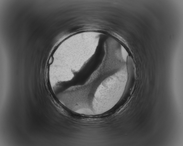 X0000082991179200703020838