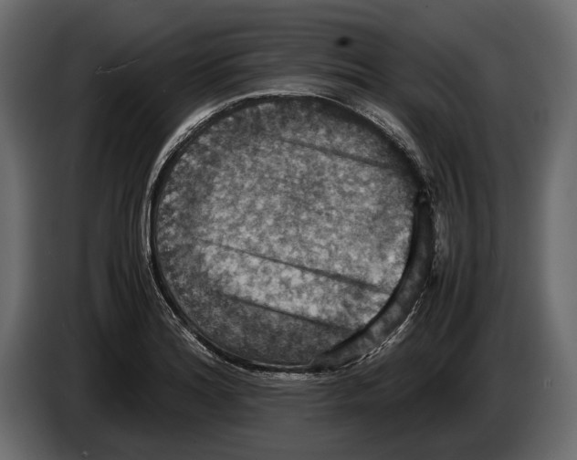 X0000082991180200703020838