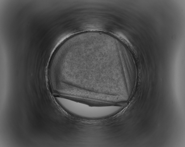 X0000082991182200703020838