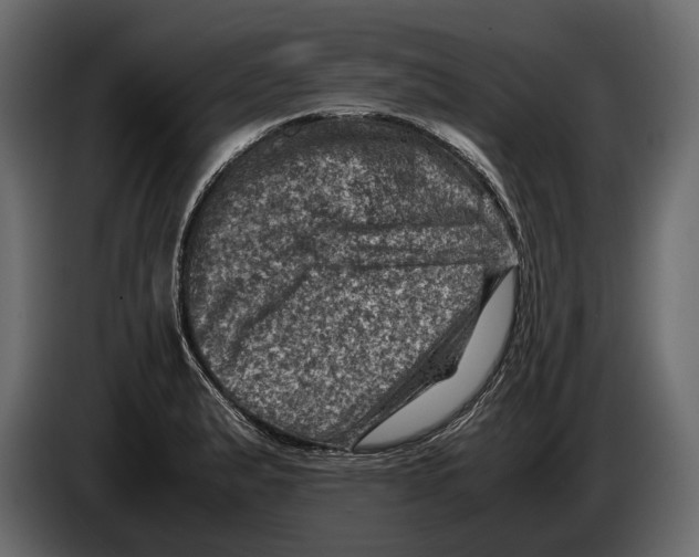 X0000082991183200703020838